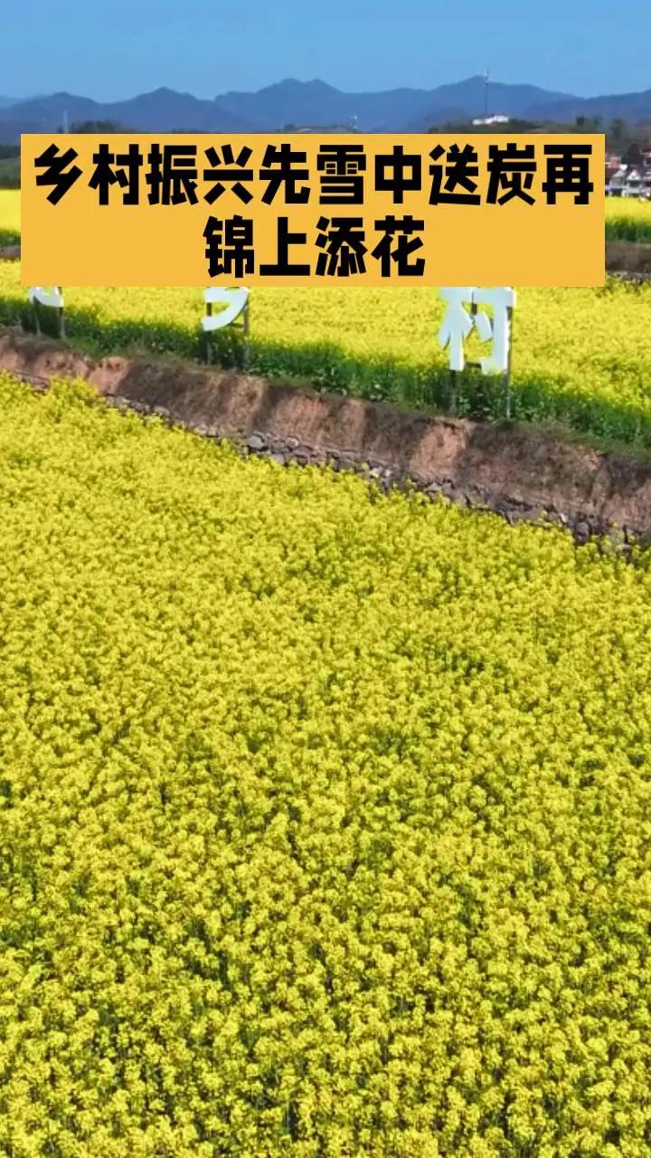 乡村振兴。