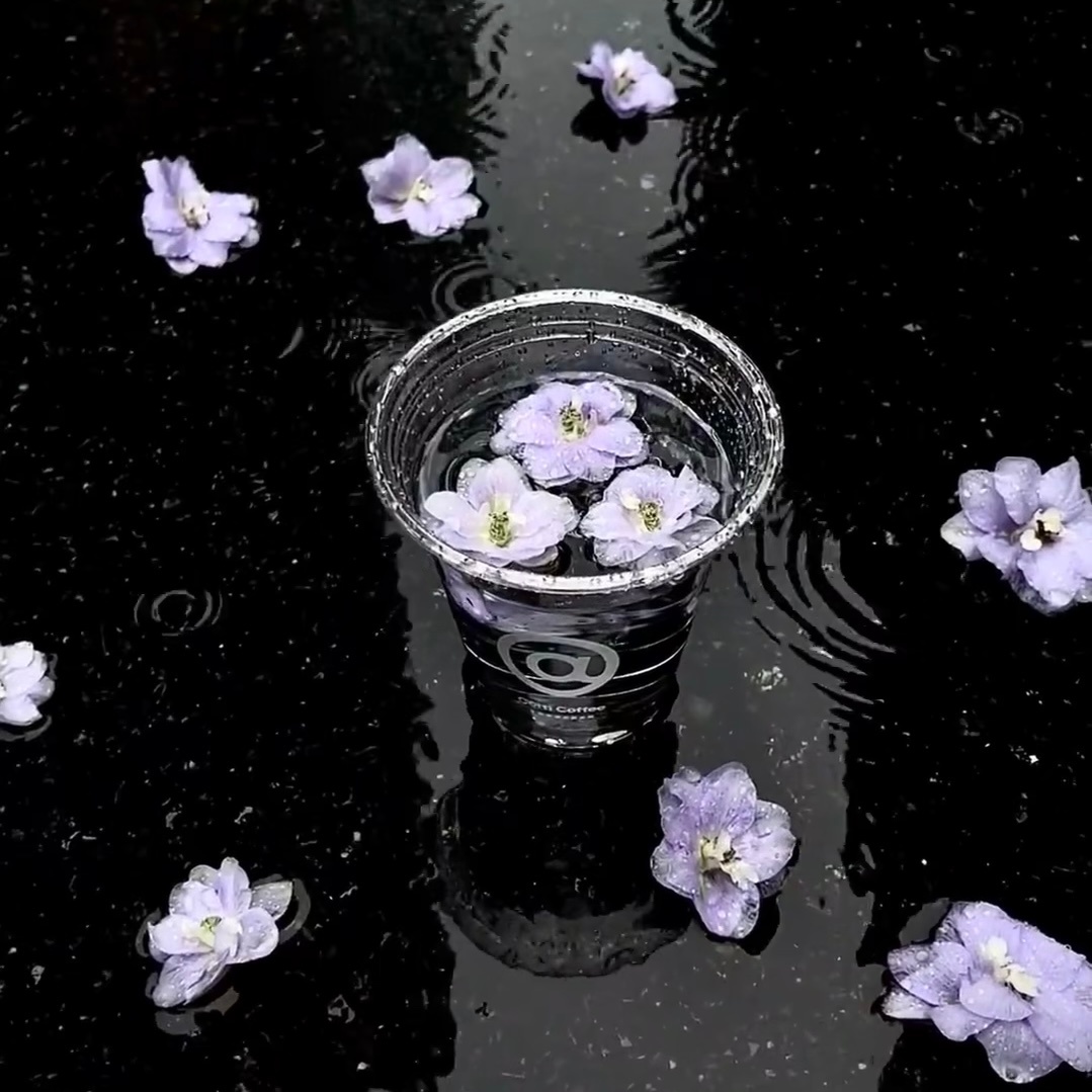 💭꙳»🌿“人人都想要偏爱，但大多数人只配得到权衡。” 