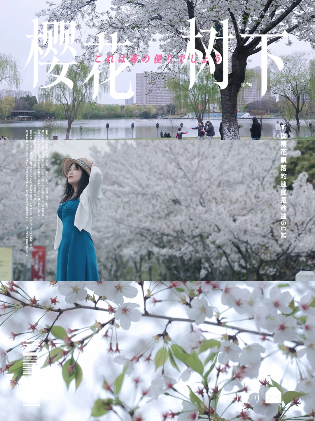 盐城｜盐渎湿地公园🌸花都开好了🌸