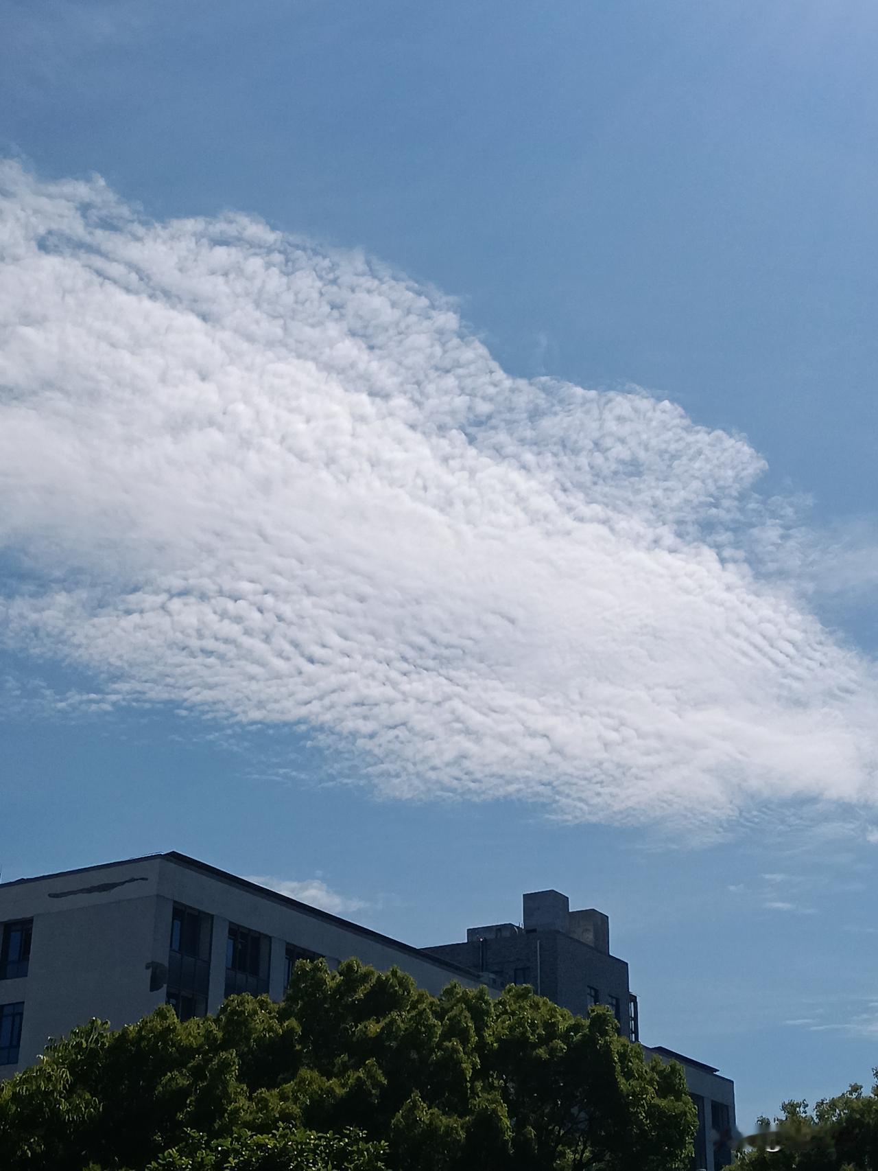 从去年起，就流传着一则神话故事。中国的科学专家为航母舰载飞机缆索绳发愁时，却发现