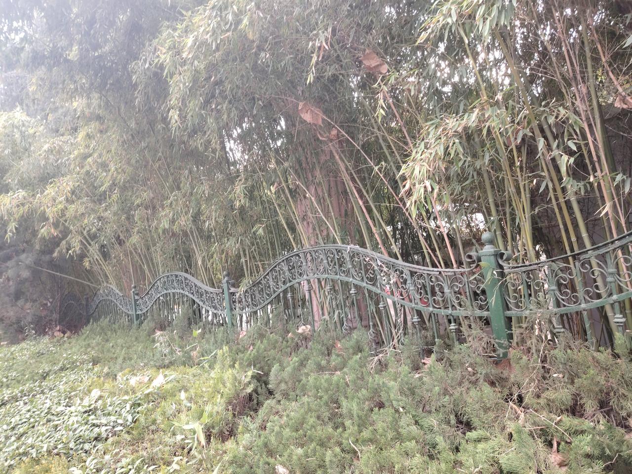 为啥很多老师宁愿在中学当普通老师，也不愿去小学当校长？现实太扎心。
不少老师有个