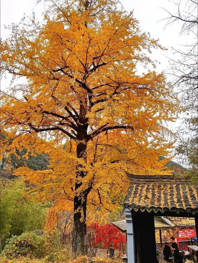 一位经济学家说了一段非常有道理的话：
“一旦发生战争，银行的存款大概就没有了。历