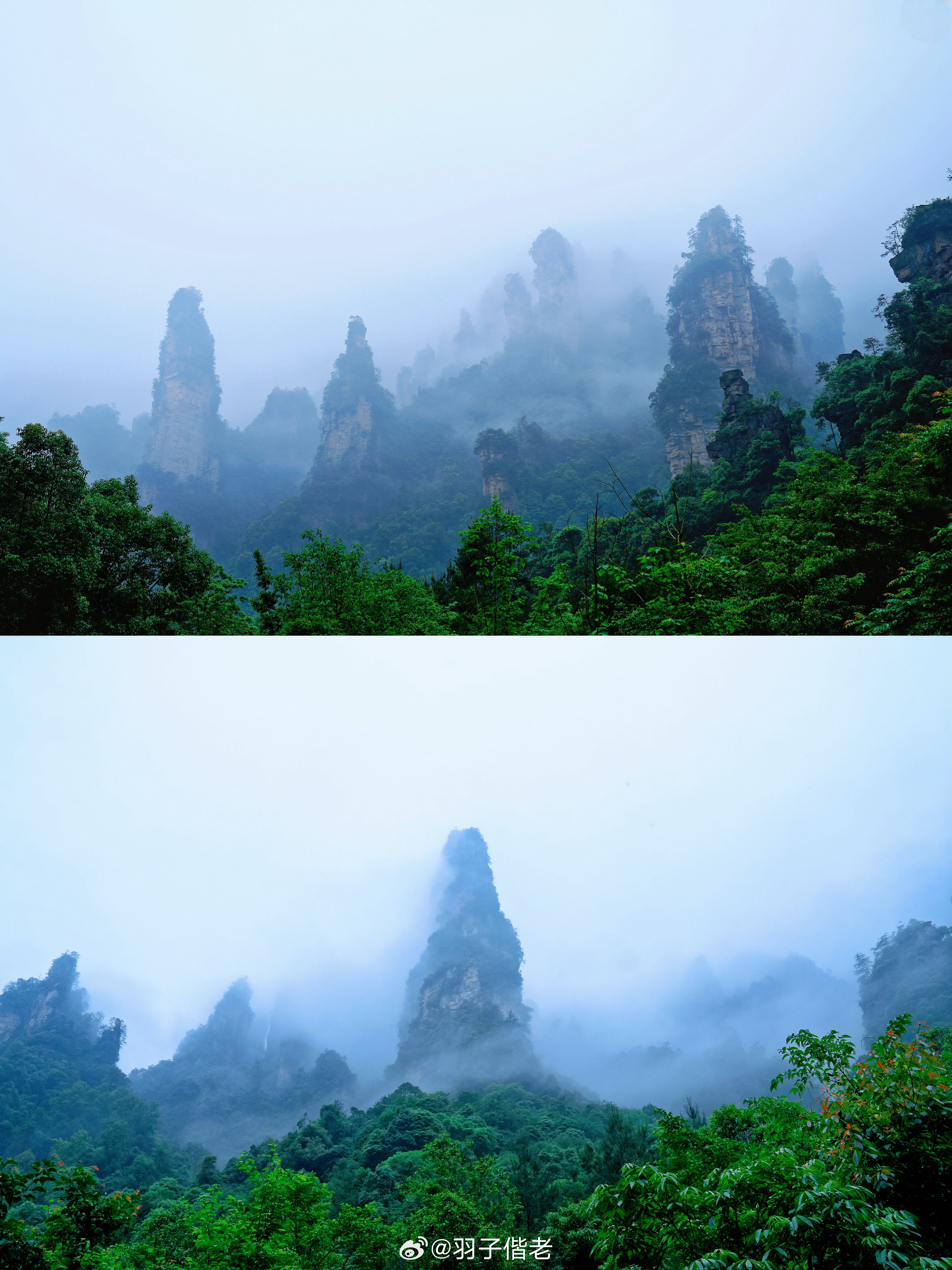 寻找羽子  张家界十里画廊位于索溪峪自然保护区西北部，是武陵源核心景区之一。峡谷
