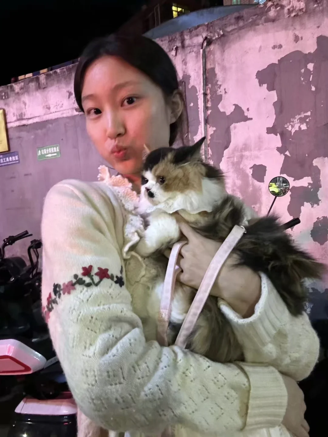 听说猫猫和主人会越来越像