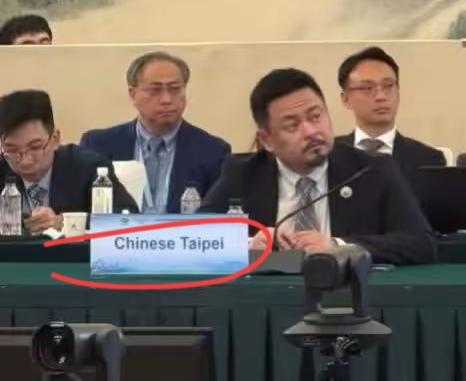 青鸟肯定崩溃了，
同一时间，赖政府官员洪申翰参加APEC，台湾省运动员参加亚运会