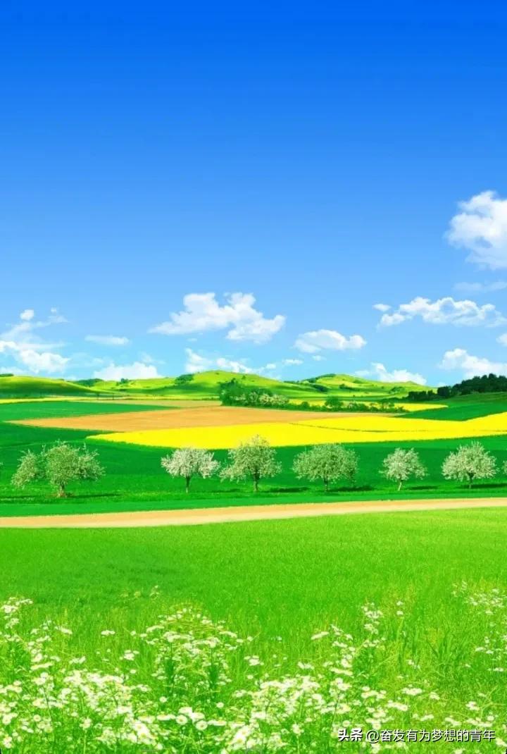 发现了吗？在农村，有些爱占小便宜的家族，家里就没一个懂道理的明白人。这些人通常不