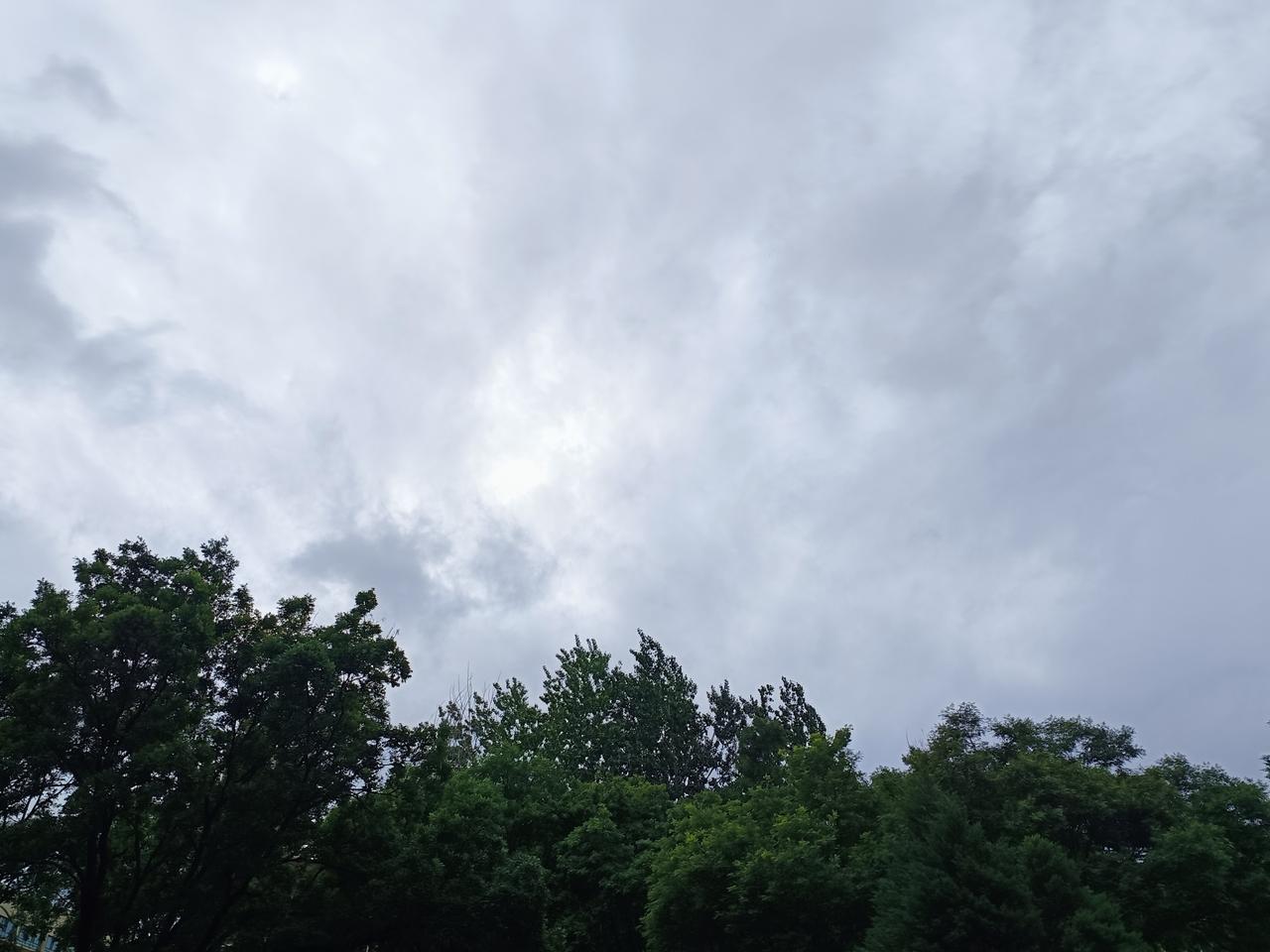 时光匆匆，从不会为谁停留。我们无法挽留岁月，却能决定如何度过朝夕。愿珍惜并认真对