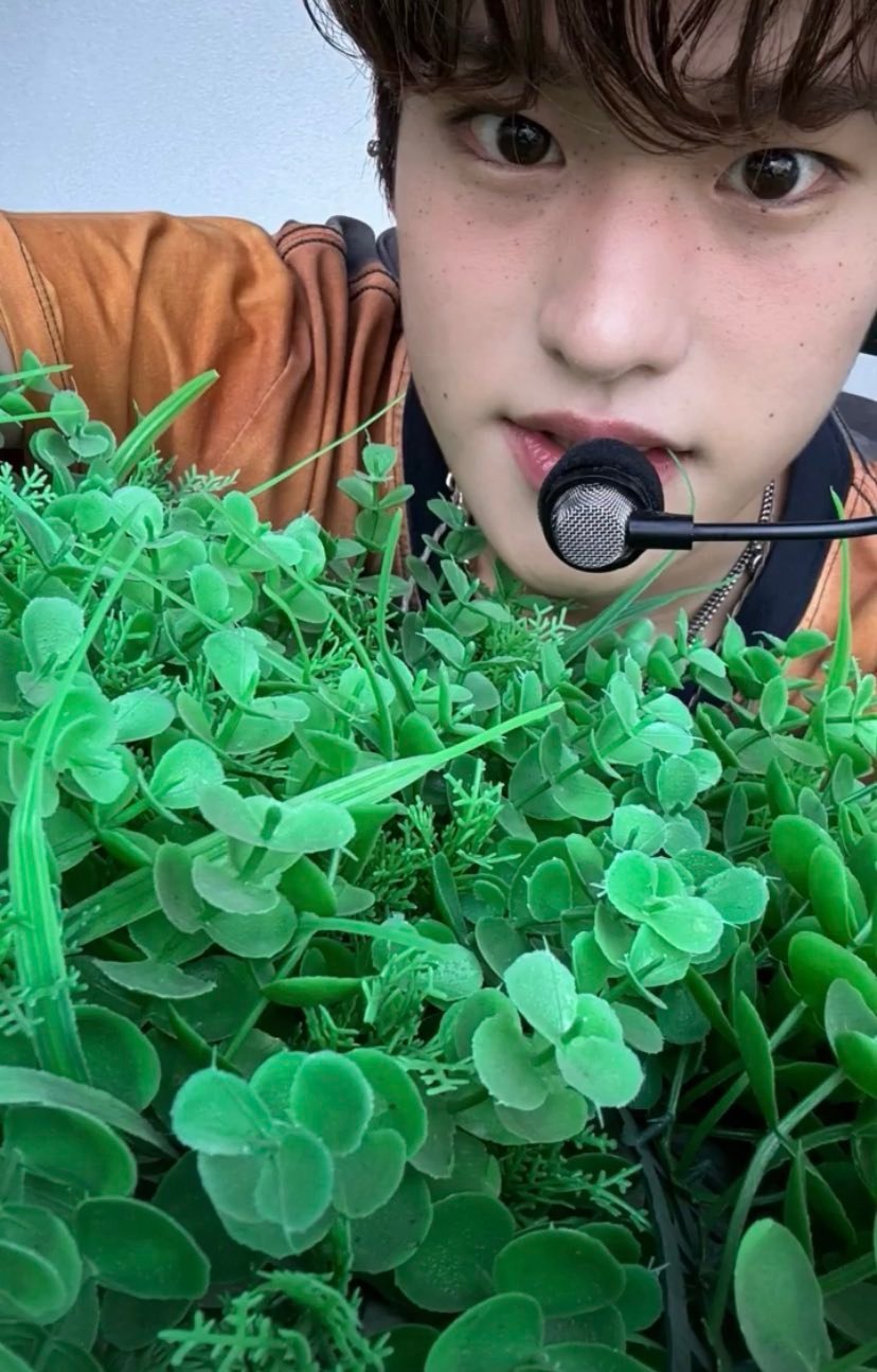每次去人歌都要和小草合影的狗狗🌿🌱🌞    2024           