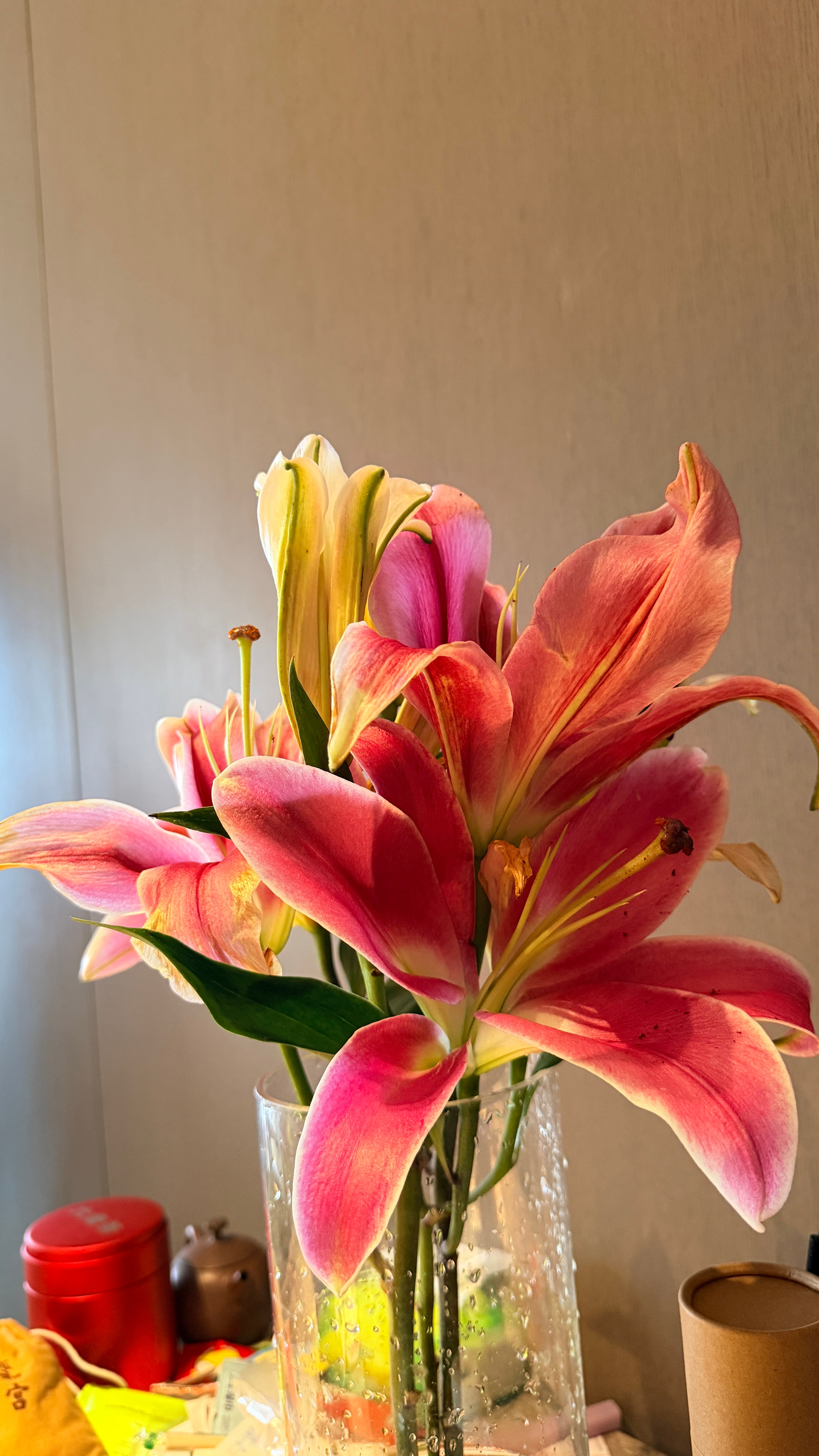 中午好 养的百合开花了 你们会把花芯摘了吗