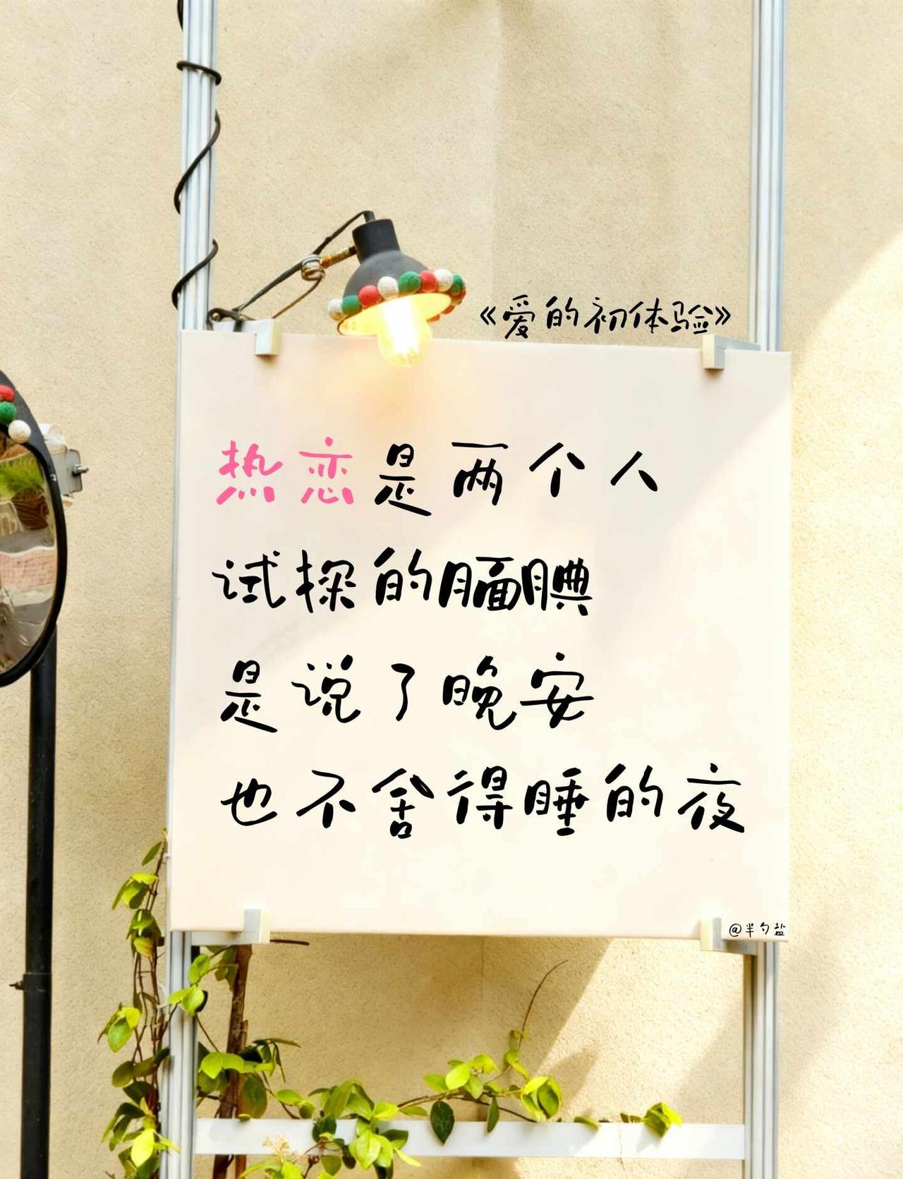 “在平凡的一天，写给爱情🌹”
-
热恋是两个人
试探的腼腆
是说了晚安
也不舍