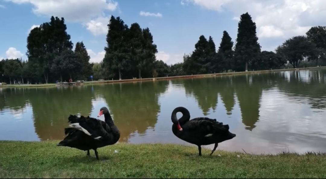 春色无边