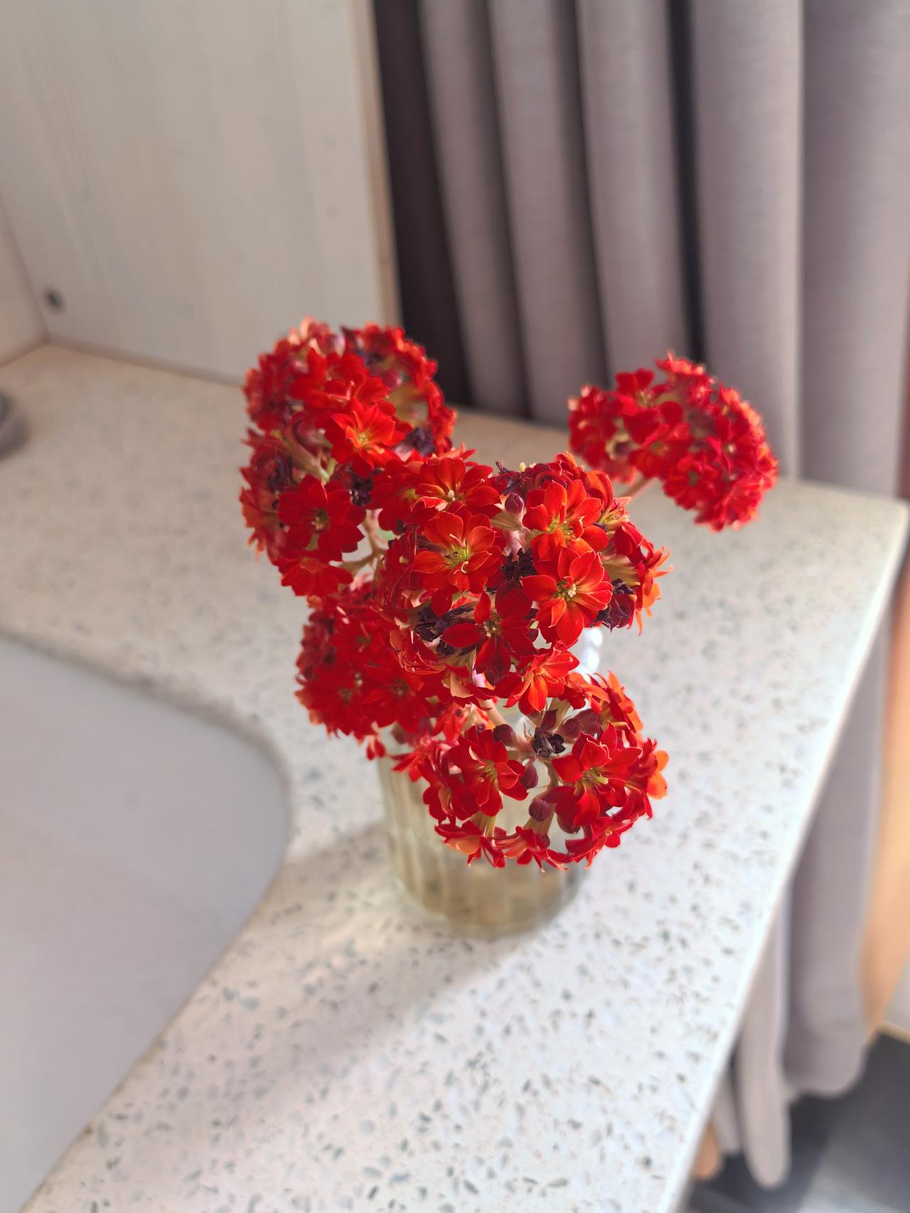 晒图笔记大赛喜欢的花花