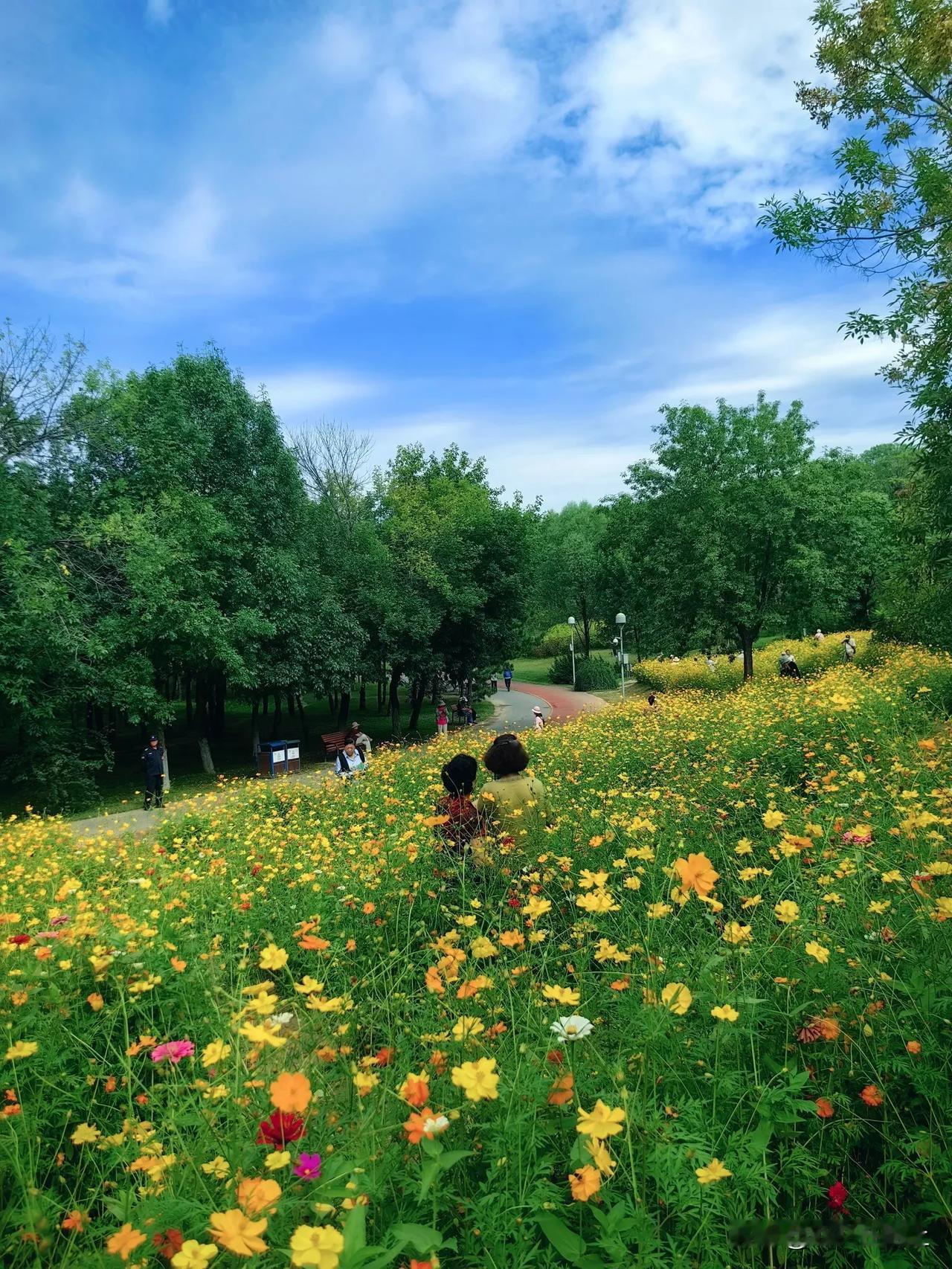 #随手记录秋日生活#北京的秋天，风光无限，在奥林匹克森林公园散步，发现在南园山脚