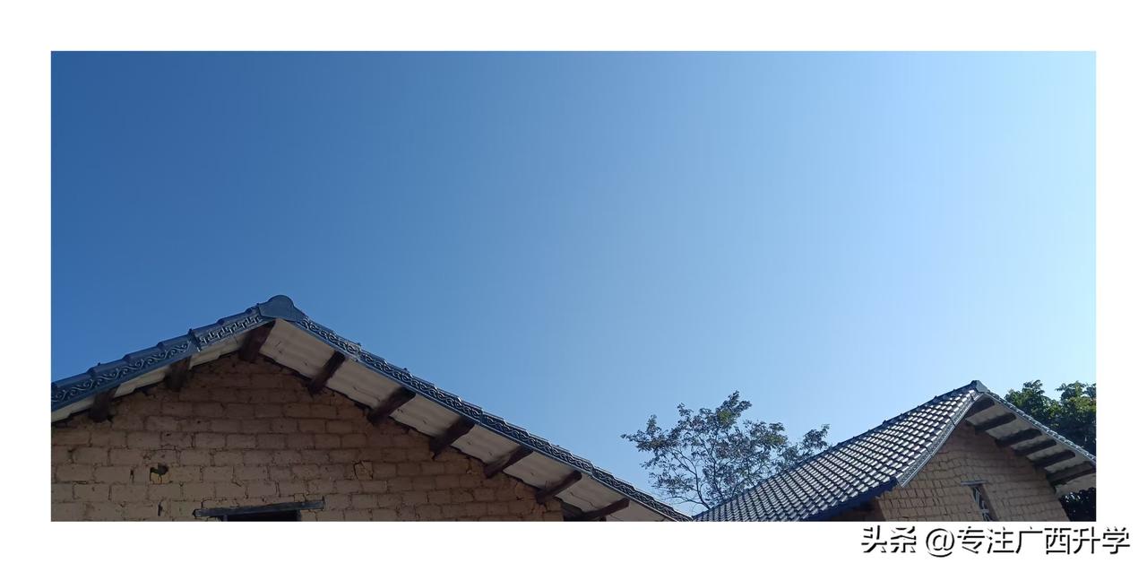 蓝天下拍出来的照片就是要好看一点！