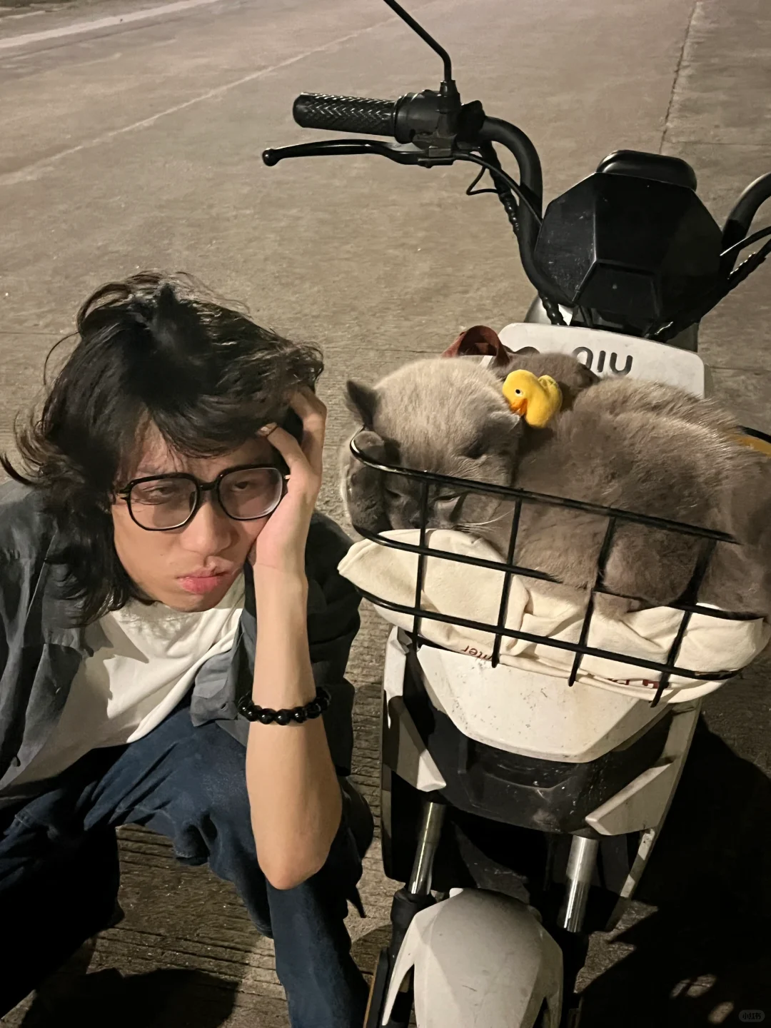 看到一框猫别忘了拍照📷