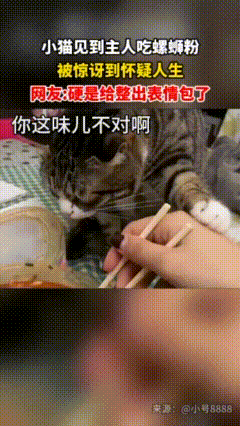 笑不活了！

猫见我吃螺蛳粉的反应，

直接封神！[捂脸][捂脸][捂脸]

家