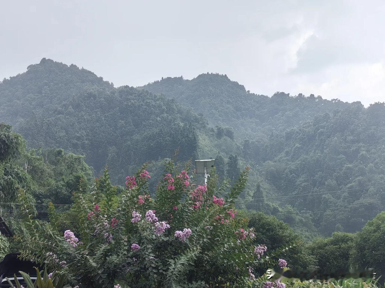 昨晚睡前和老公聊起宜宾升学宴的事，我很肯定的对老公说：如果在我们老家，遇到请客下