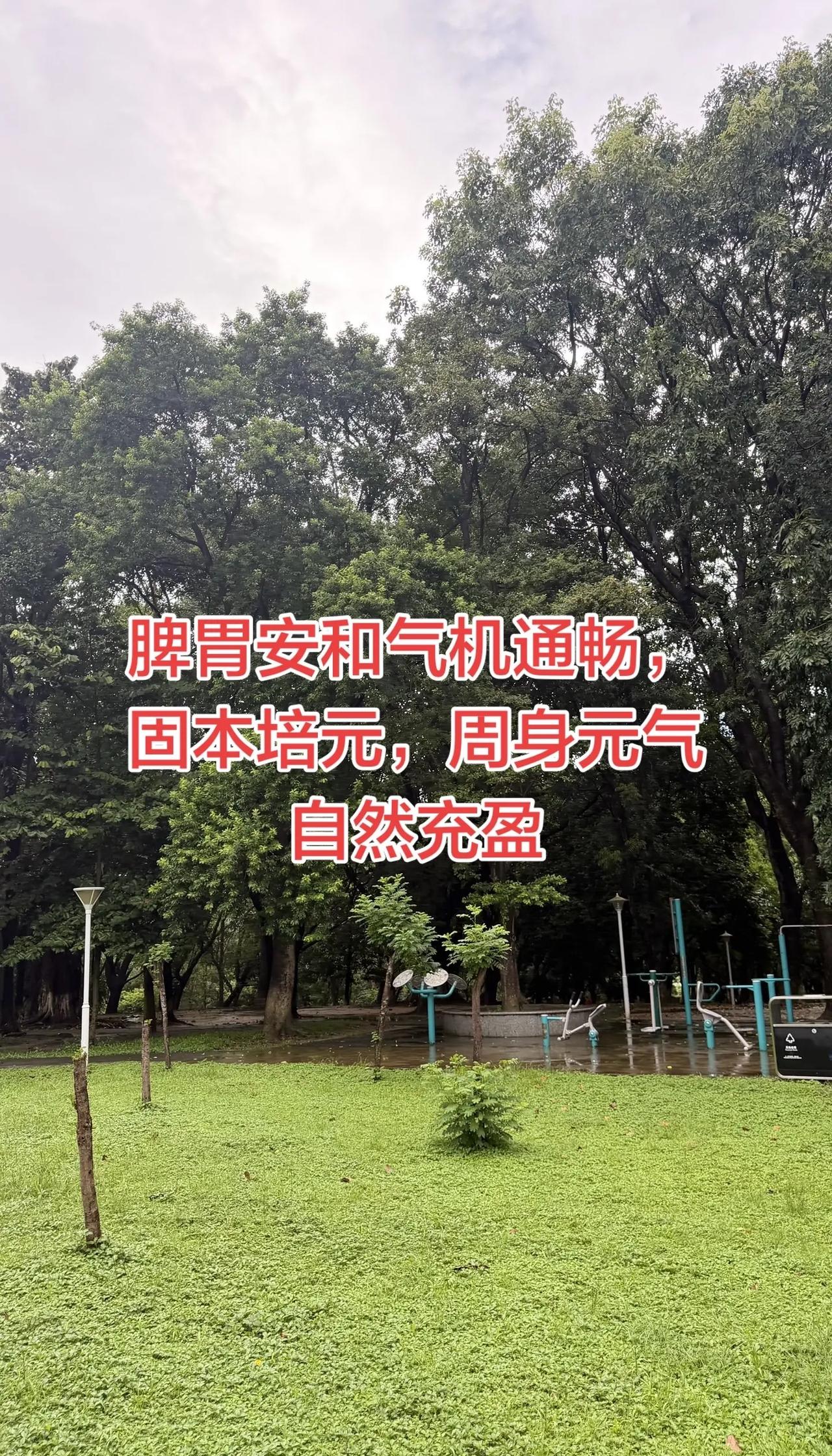 一场五局大战之后，2026年女排亚锦赛决赛落下帷幕。中国女排在决胜局未能守住优势