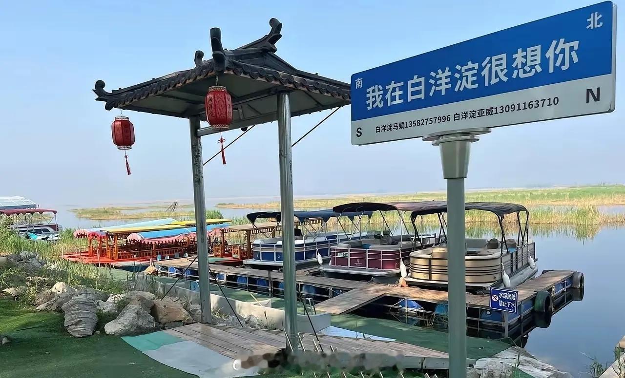 白洋淀算是完了，暑假档没钱赚了，估计当地文旅能气死，几个车胎断送了几十亿，以后也