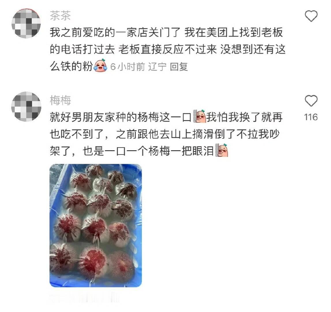 馋到做出离谱行为 
