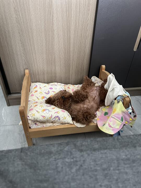 某女明星不雅照曝光！！！！