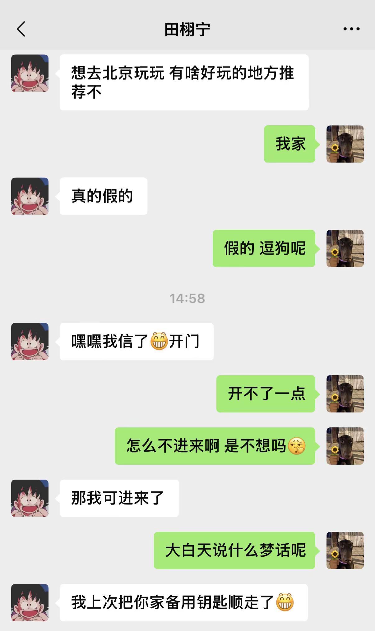 把你喂鸡信不信