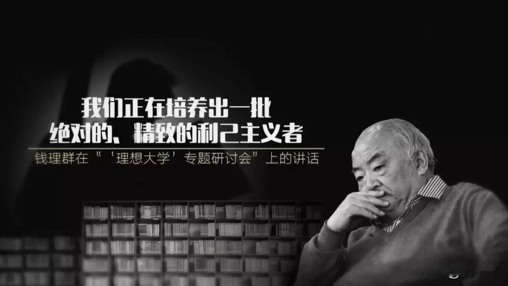 “我不在乎国家科技发展，我只在乎自己买的东西是否有性价比！”

就是典型的精致利