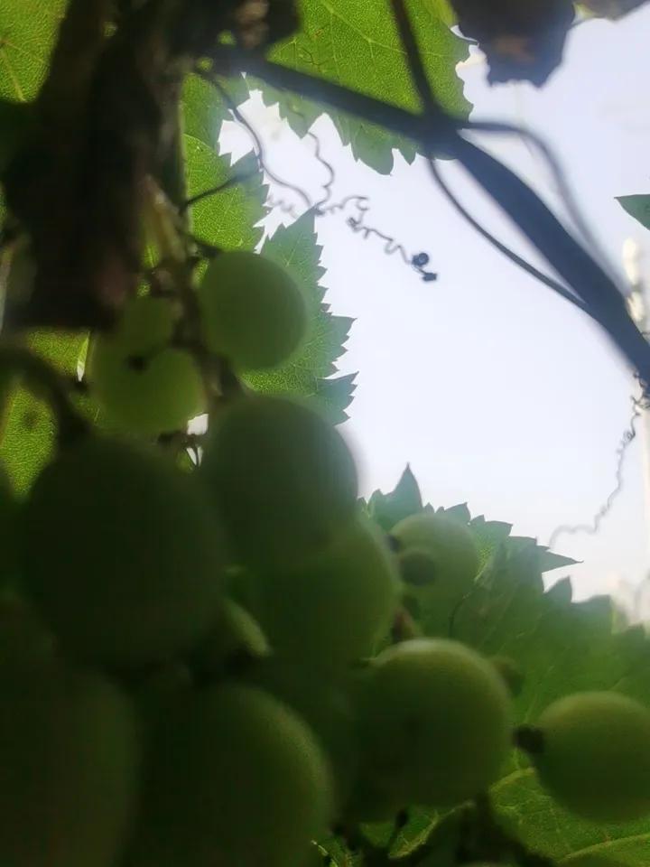 随手拍美景分享