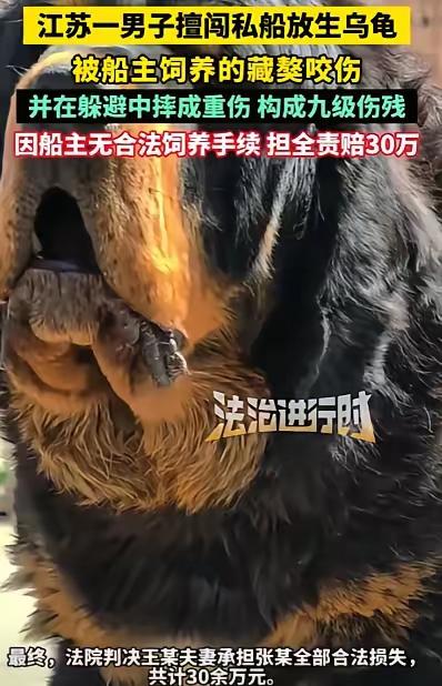 这个案件涉及多方面的法律责任和伦理问题，值得深入分析。以下是我的看法：

关于饲