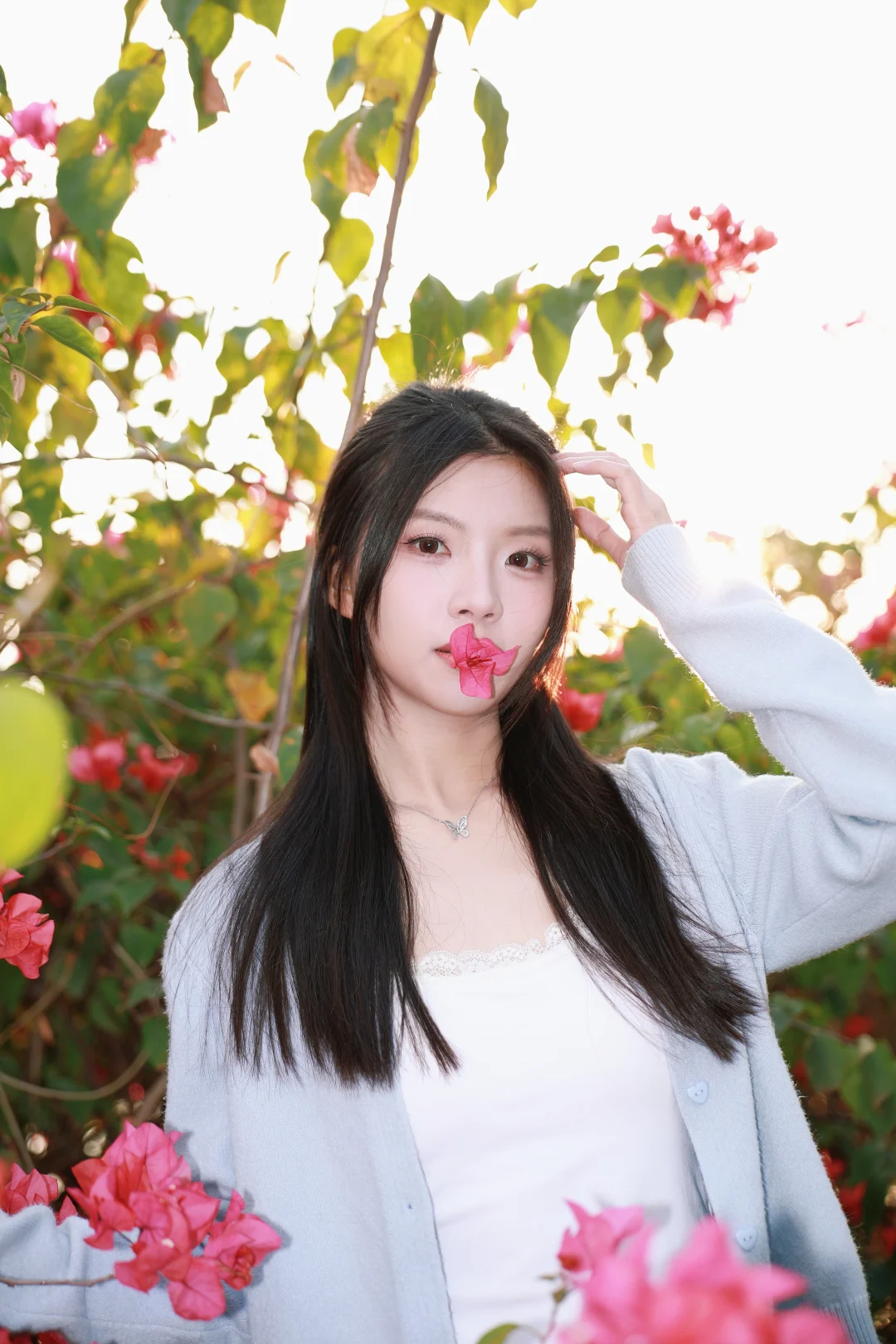 去看火烈烈的三角花吧！