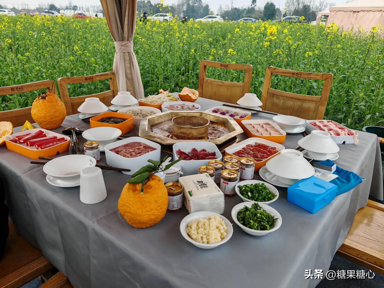 把春天煮进火锅里。
成都周边不仅可以赏花，还可以在花田吃着火锅，欣赏着花田美景。