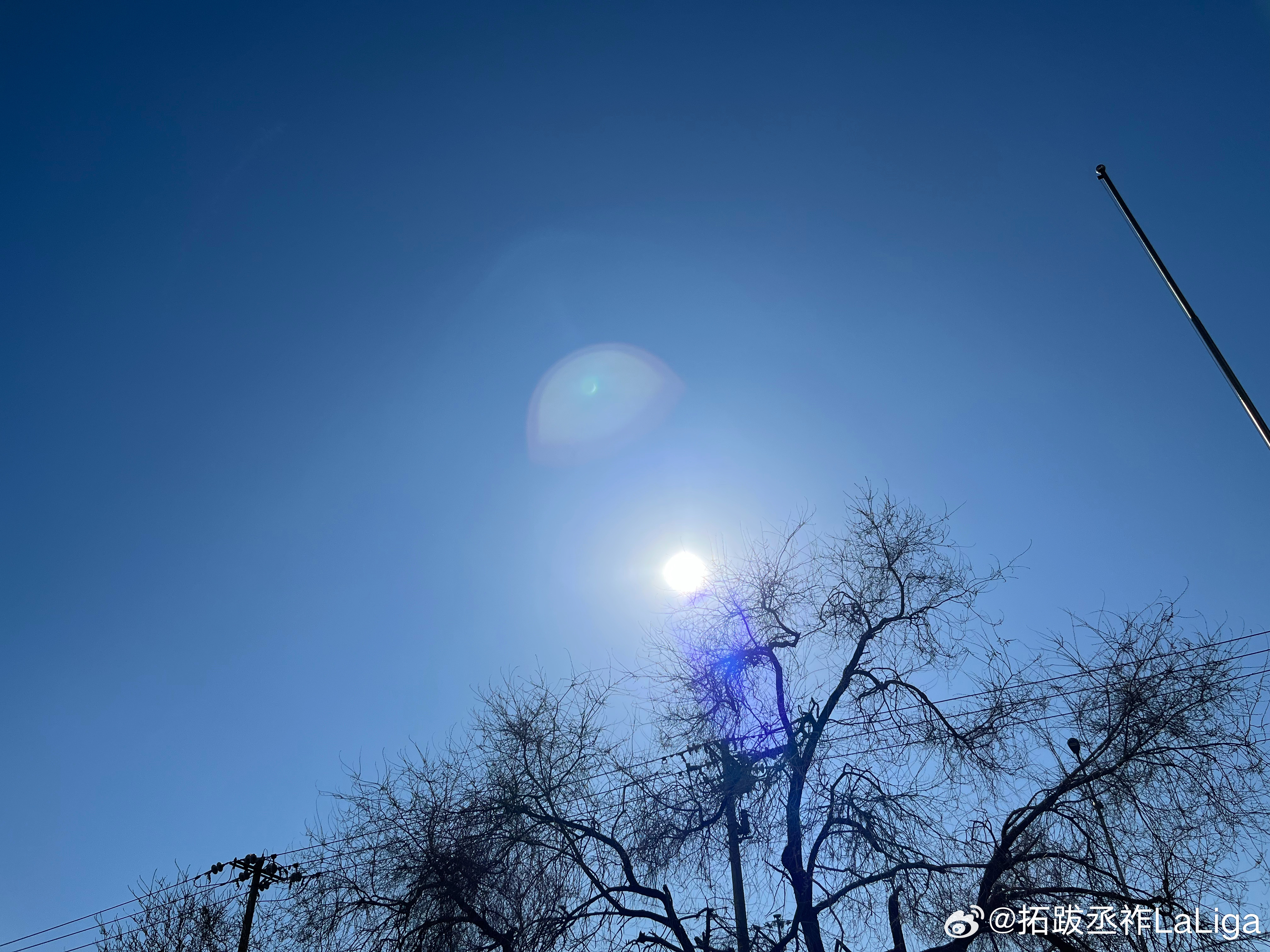 今天这天气是真舒服 