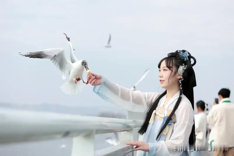 如果说，一个人成熟的标志是影响他的东西越来越少；
那么，不成熟的标志就是影响他的