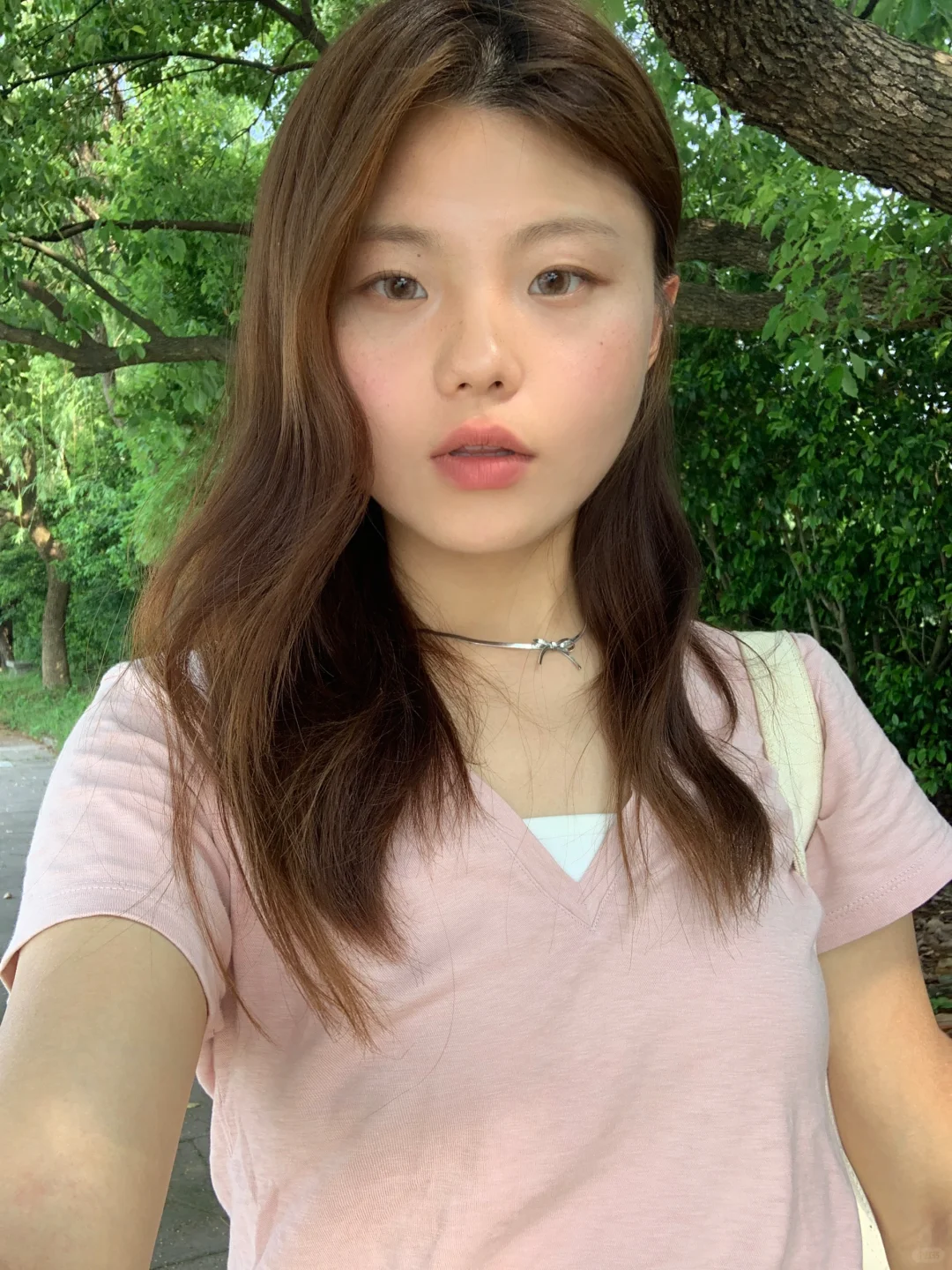 蝴蝶结🎀