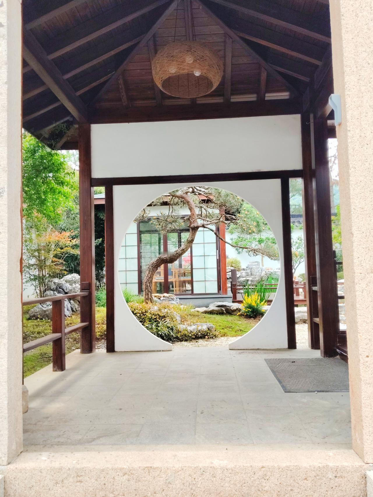 昨天去扫墓，一路人气高旺，因为堵车，足足走了约五站路。偶尔回头，突然眼前一亮，精