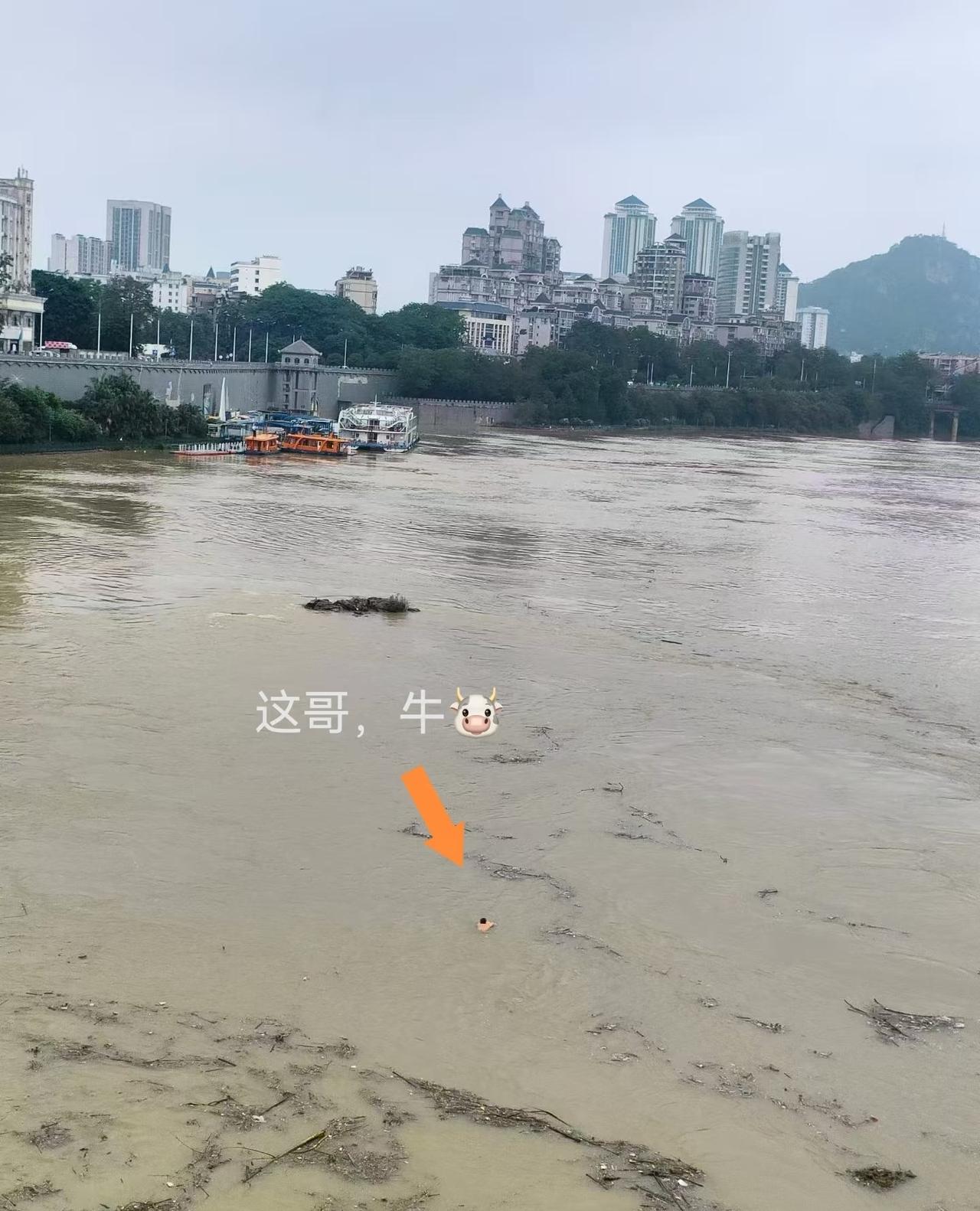 柳州人洪水中的“松弛感”

柳州这个季节，每年都会有一定的洪涝灾害，已经是属于见