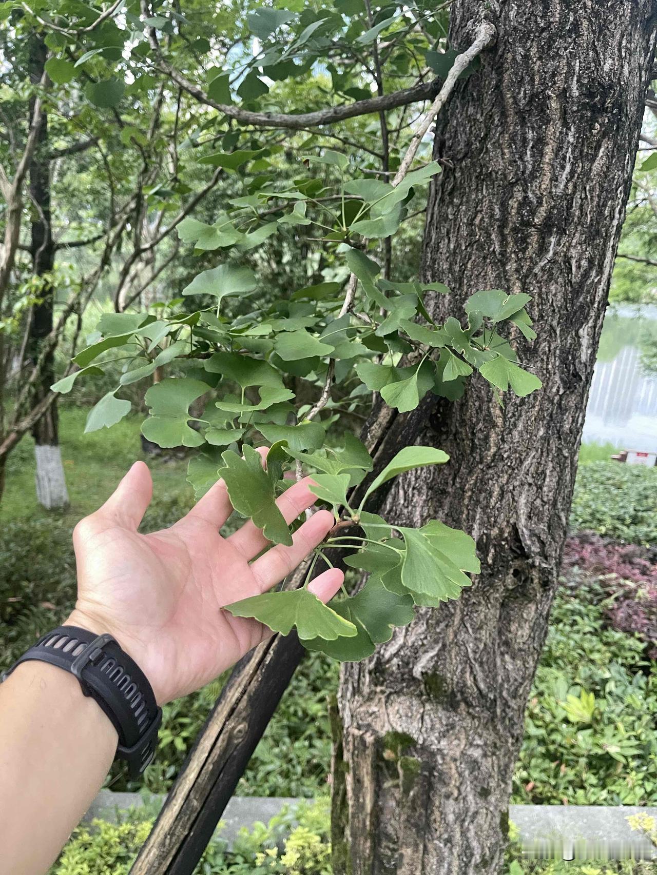 开启美好的一天
纵然昨日的疲惫
翻篇已失的烦恼
活在当下新的期待
你还不能放下什