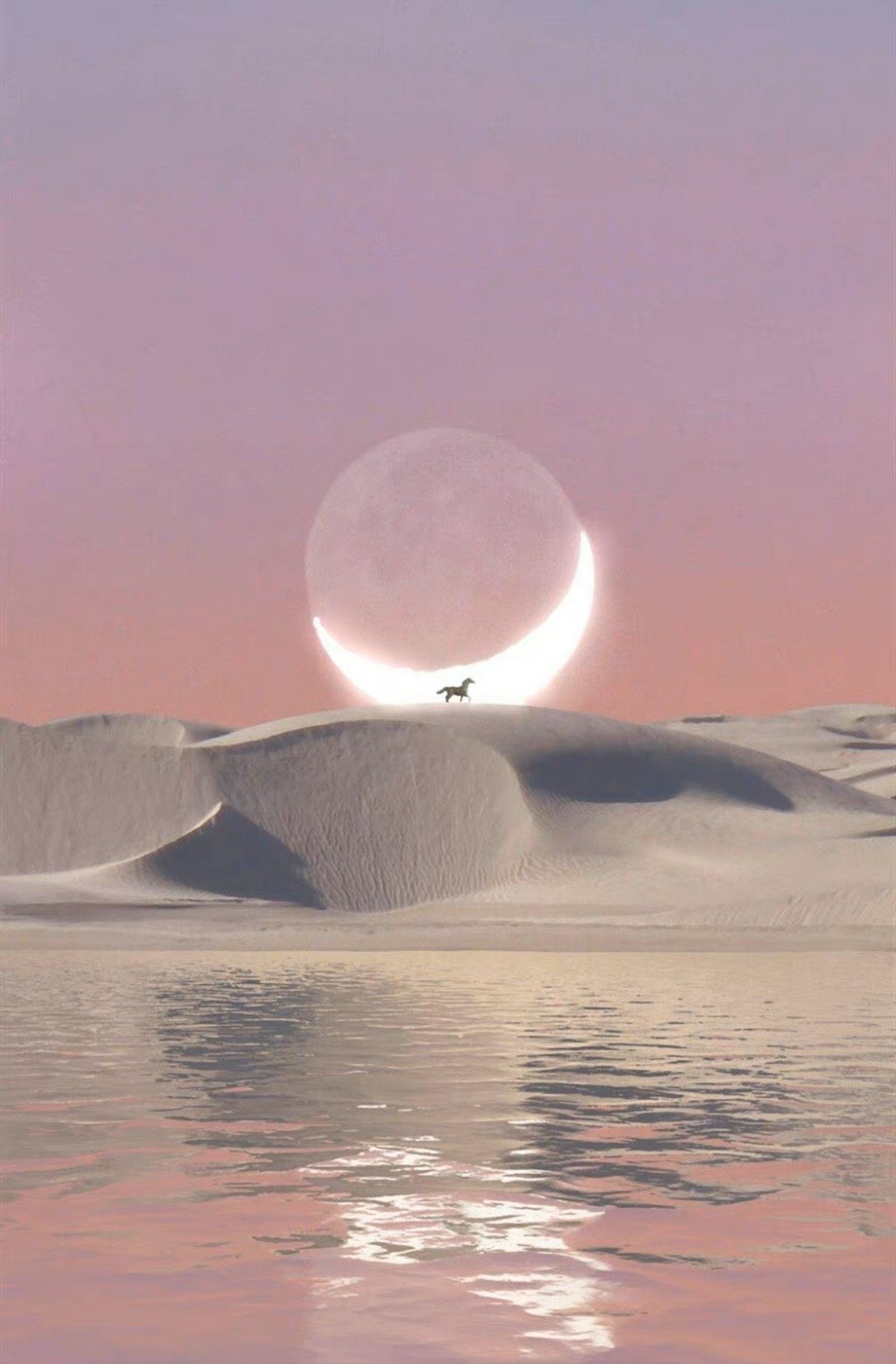 现在我才明白：渺小与伟大，恶毒与善良，仇恨和爱意是可以在同一颗心里并行不悖的。 