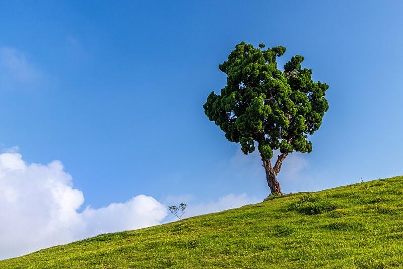 我很好，我会越来越好。
接纳当下，向阳而行，
所有美好，都在奔赴而来的路上。
心