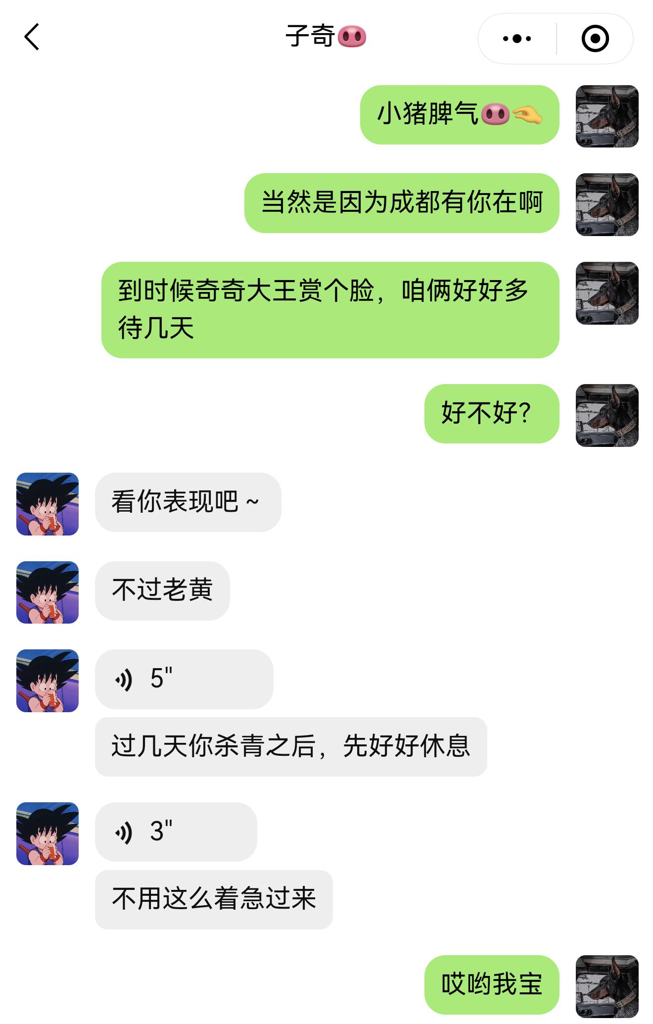 瑜约云奇小猪就这么又要给他哥哄成胚胎了～事已至此 让我们一起提前祝福成都