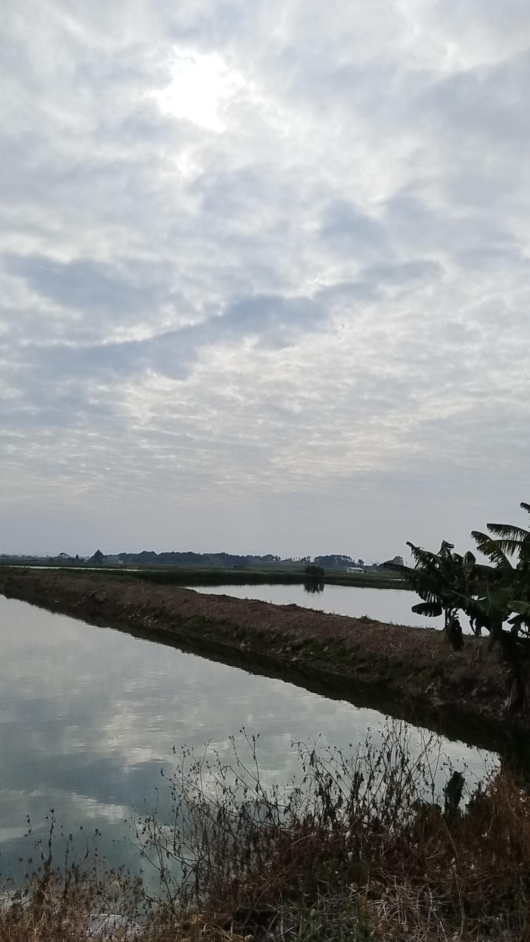 分享我这周有趣的事：陌生的老地方