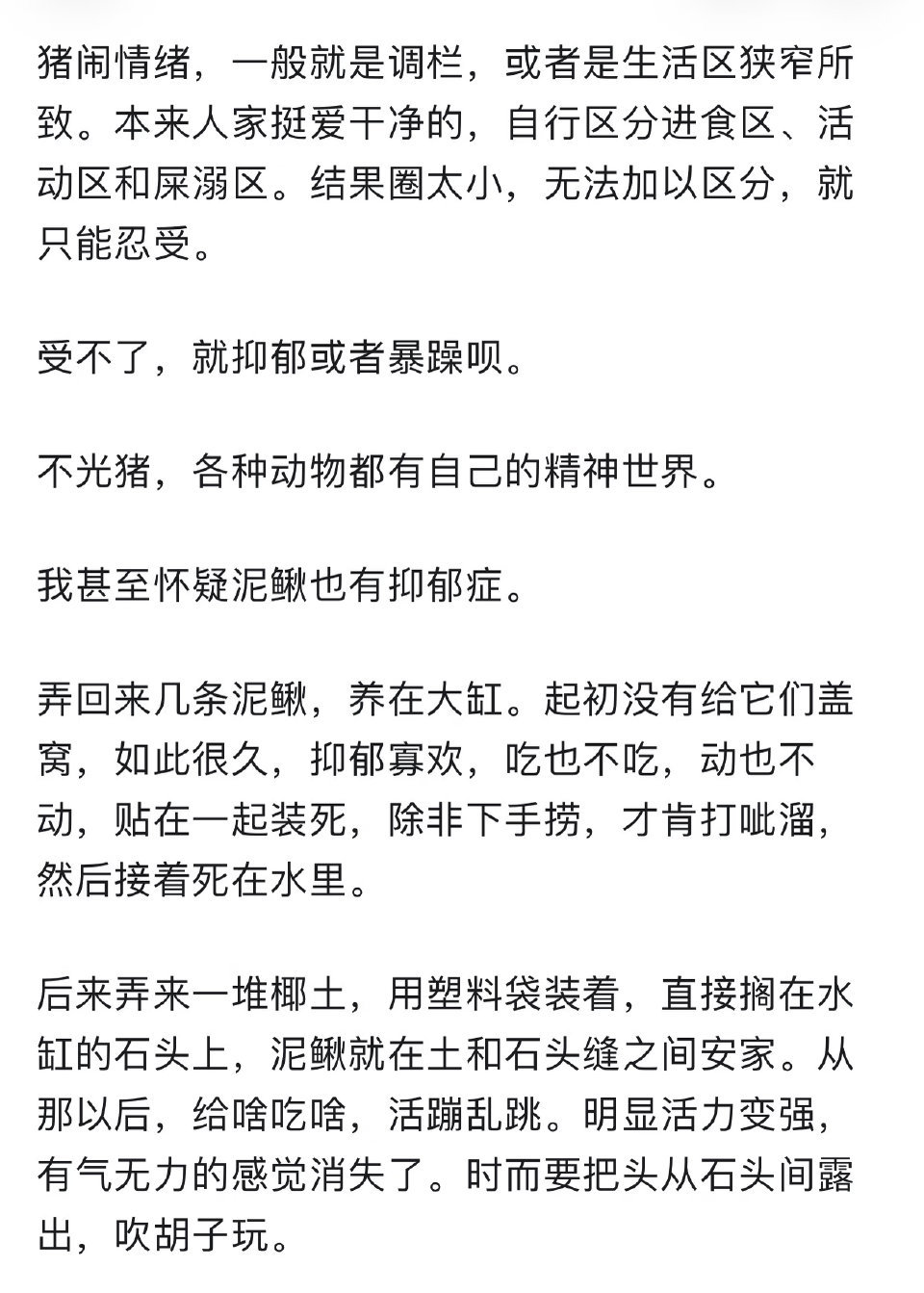 猪的抑郁症表现行为天呐，一直待在一个封闭的地方不管什么生物都得崩溃吧 