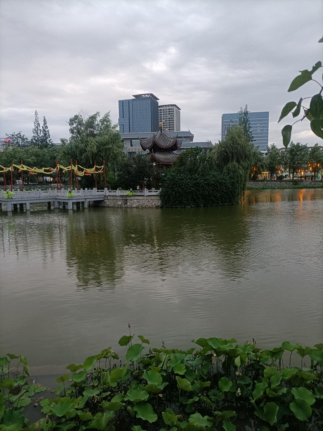【夏之韵·漫步湖边随记】真心话茶局
黑云压城城欲摧，
山雨欲来随风吹；
柳条柔软