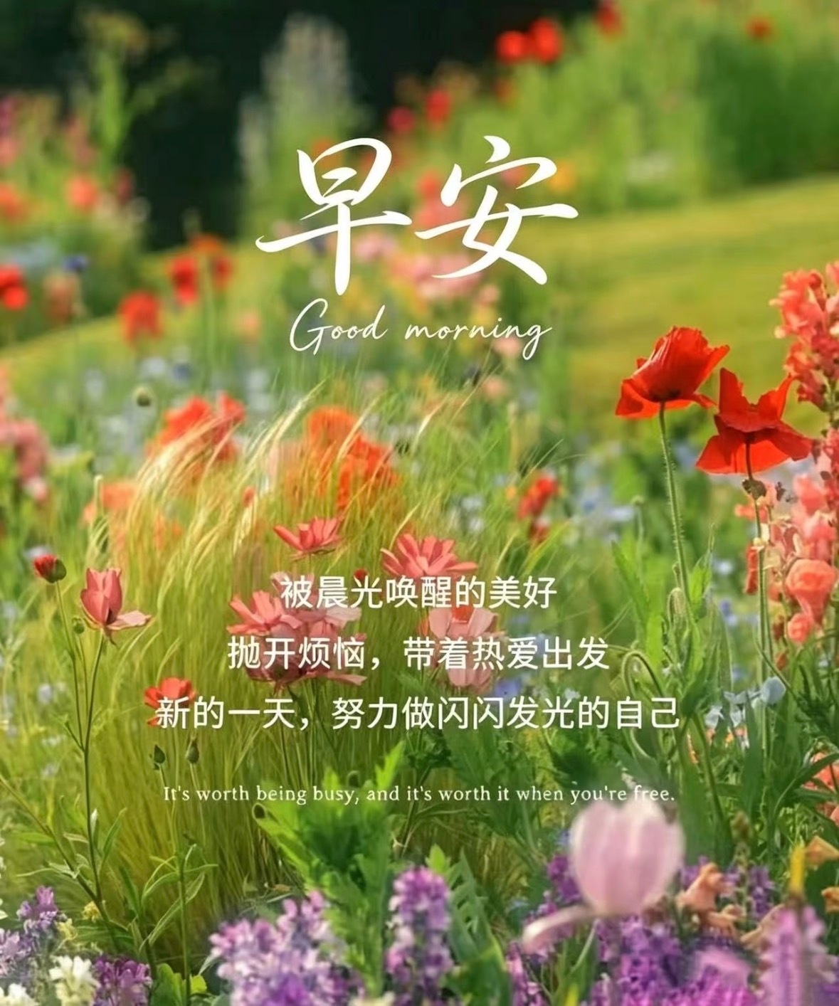 🍀𝗴𝗼𝗼𝗱 𝗹𝘂𝗰𝗸🔆每一天都是新的一页，要明媚要热烈，成为