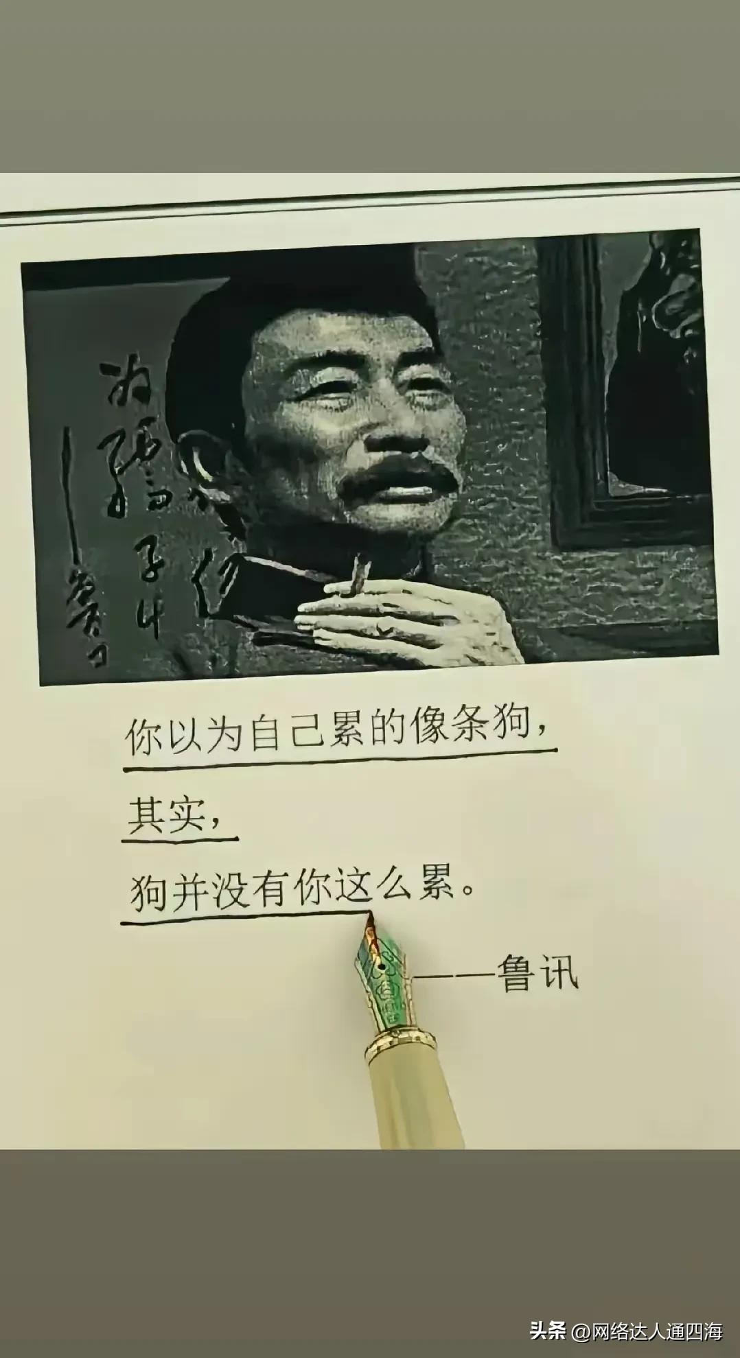 你以为自己累的像条狗