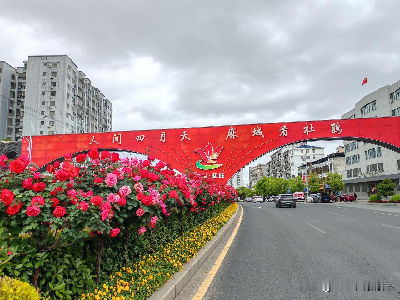 这里是坐落于湖北麻城金桥大道中段的渡槽，它的正中间写着“人间四月天，麻城看杜鹃”