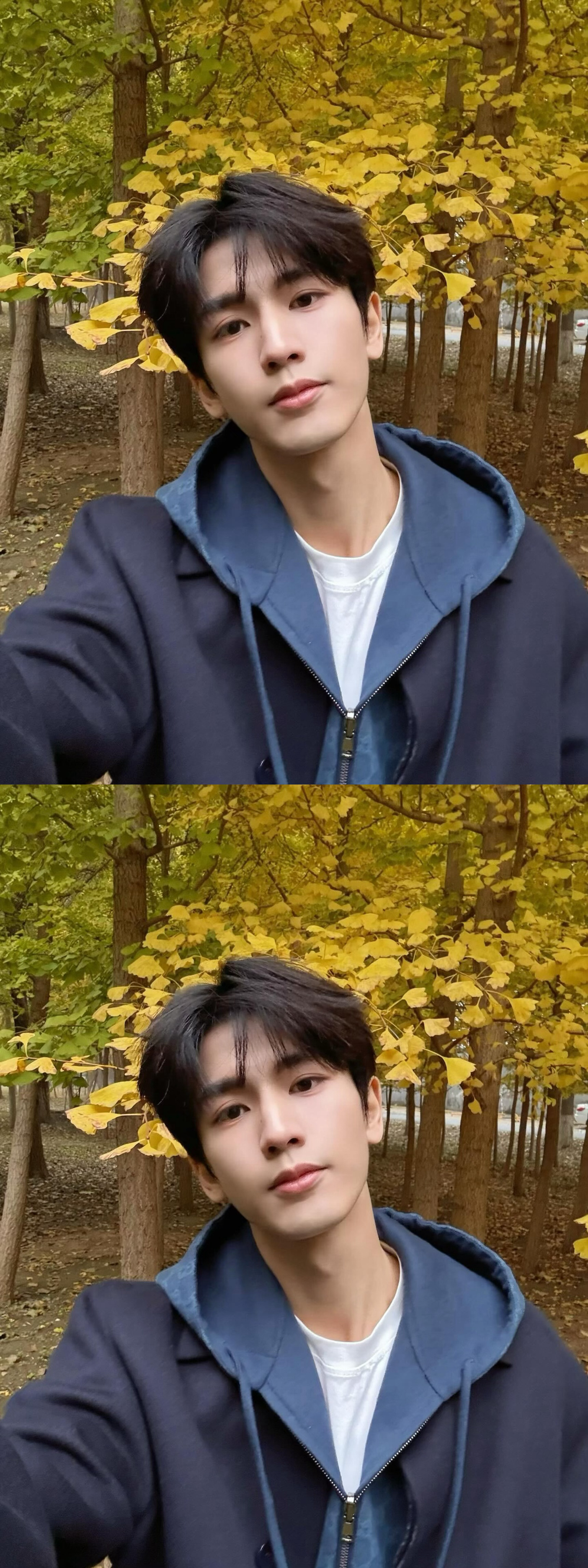 张凌赫今日份更新 🍂秋日男友已上线，完全是偶像剧男主角，氛围感拉满😍 