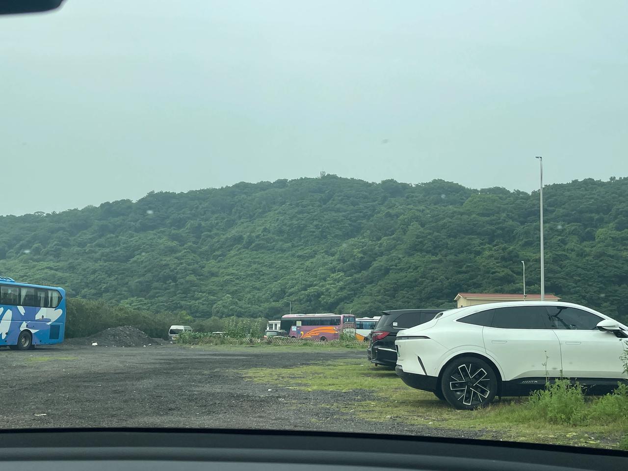 #普陀区# #连续三年# #求神拜佛#