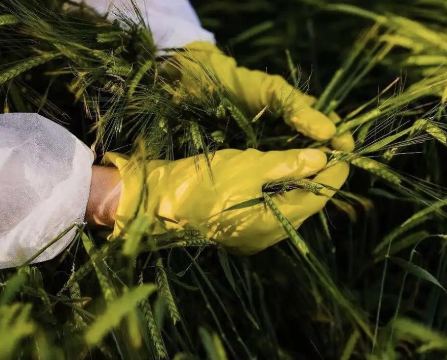 不要以为那些境外的间谍，他们只会打机密文件，以及一些军事重地的主意，现在他们是连