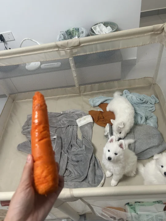 我很想你